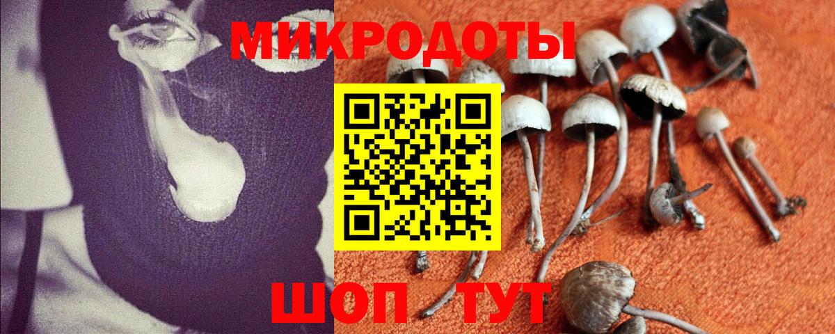 Псилоцибиновые грибы Magic Shrooms Алейск